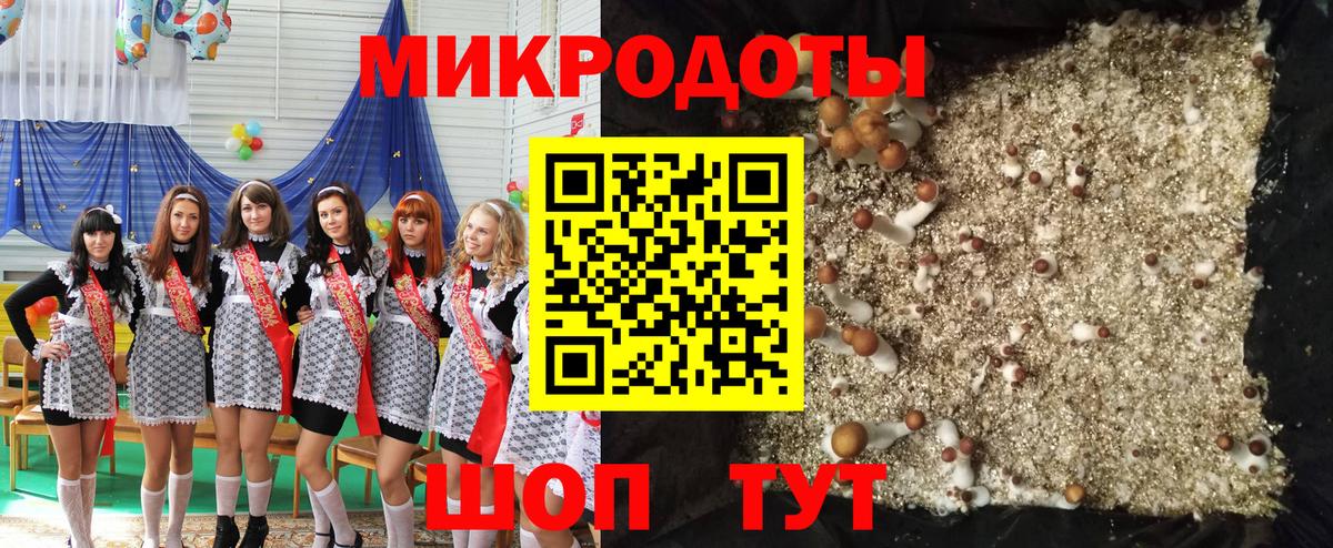 Астрахань  Галлюциногенные грибы Psilocybe  Псилоцибиновые грибы Cubensis  Вход с VPN 